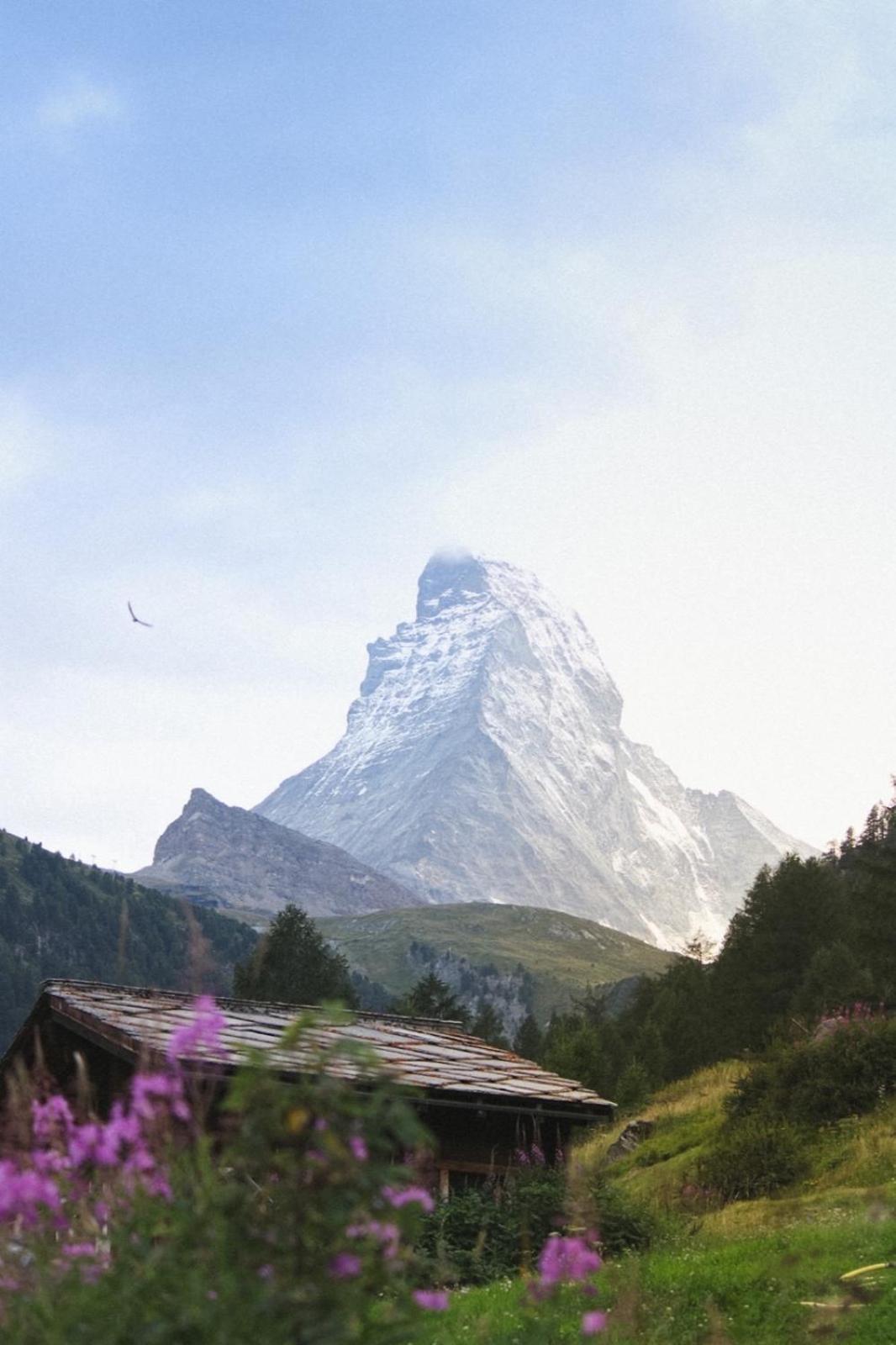 Studio Wolli - Stylish & Central - Steps To Matterhorn Gondola Zermatt Exteriör bild
